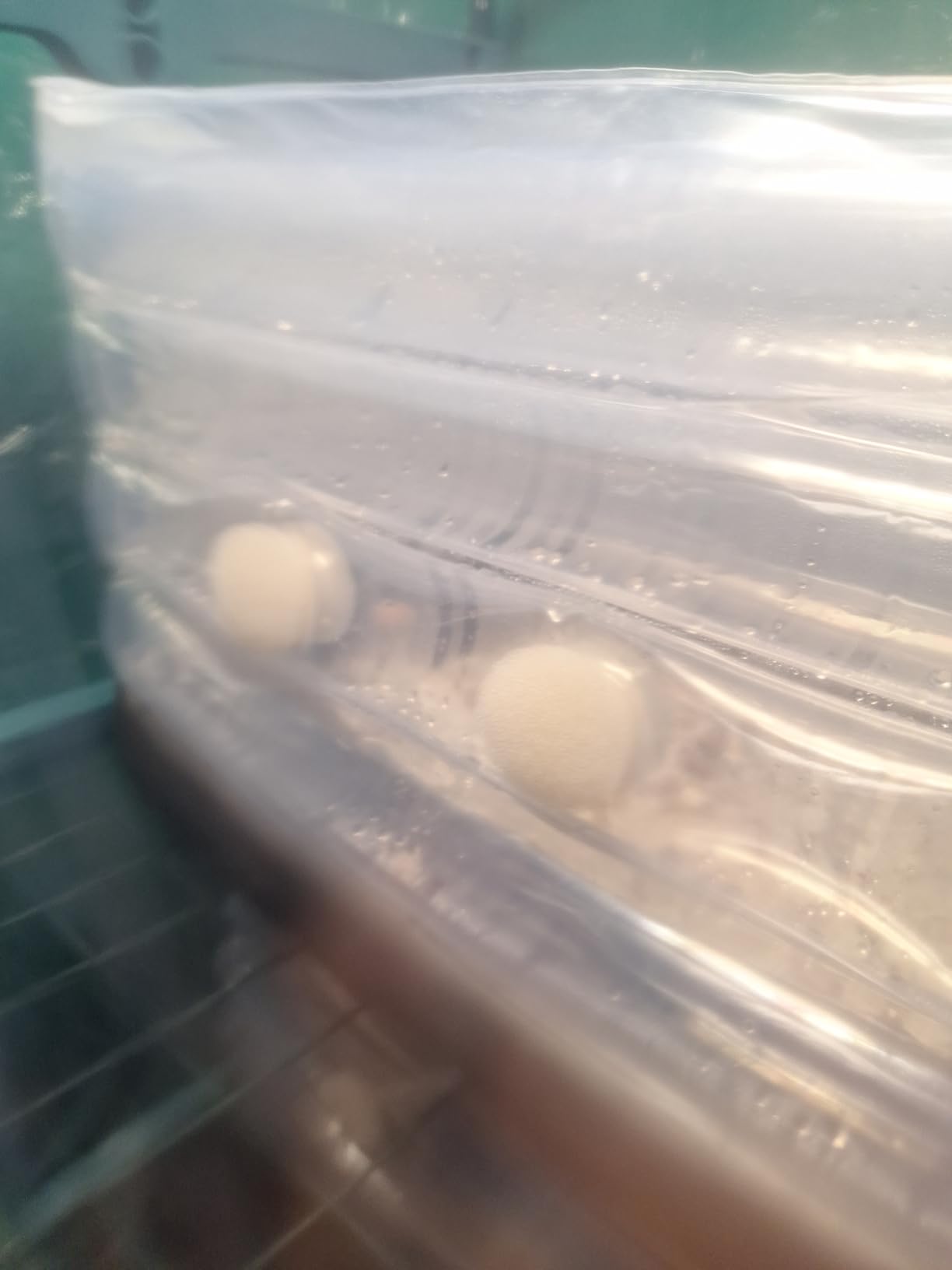 Boomer Shroomer Inflatable Monotub Kit, Mushroom Growing Kit Includes a Drain Port, Plugs & Filters, Removable Liner customer photo 1
