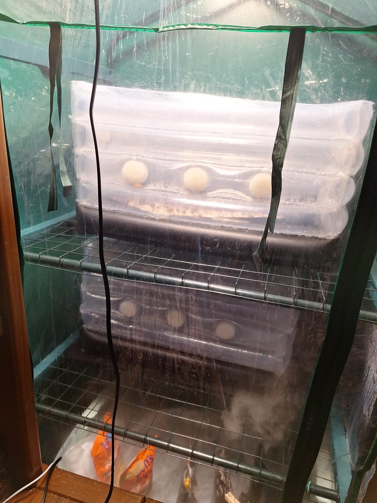 Boomer Shroomer Inflatable Monotub Kit, Mushroom Growing Kit Includes a Drain Port, Plugs & Filters, Removable Liner customer photo 2