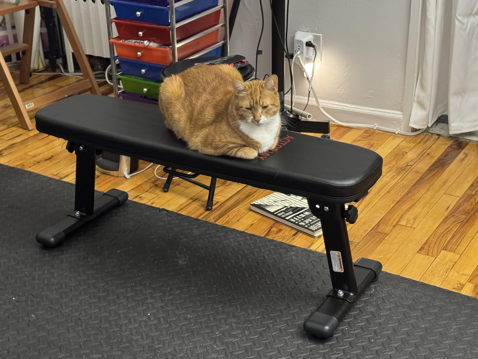 Weight Bench Folding Workout Bench with Carrying Handle Flat Home Training Multiuse Fitness Bench customer photo 2