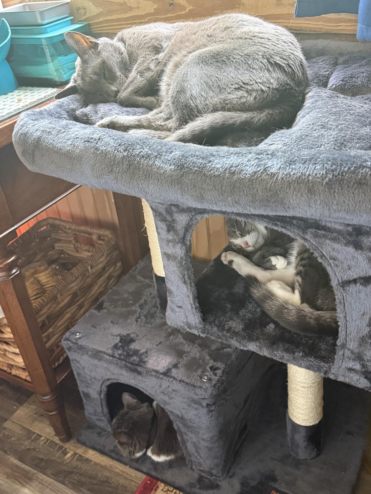 Feandrea Cat Tree, 40.6-Inch Cat Tower, Plush Condo for Extra Large Cats up to 44 lb, Large Perch, 2 Caves, Scratching Post, Light Gray UPCT614W01 customer photo 2