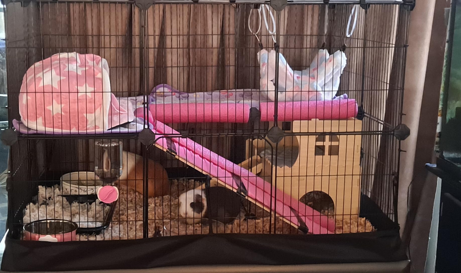 SONGMICS 20 Panels Pet Playpen with Floor, Small Animal Playpen, Pet Fence Indoor, DIY Plastic Enclosure for Guinea Pigs, Bunny, Hamsters, Hedgehogs customer photo 1