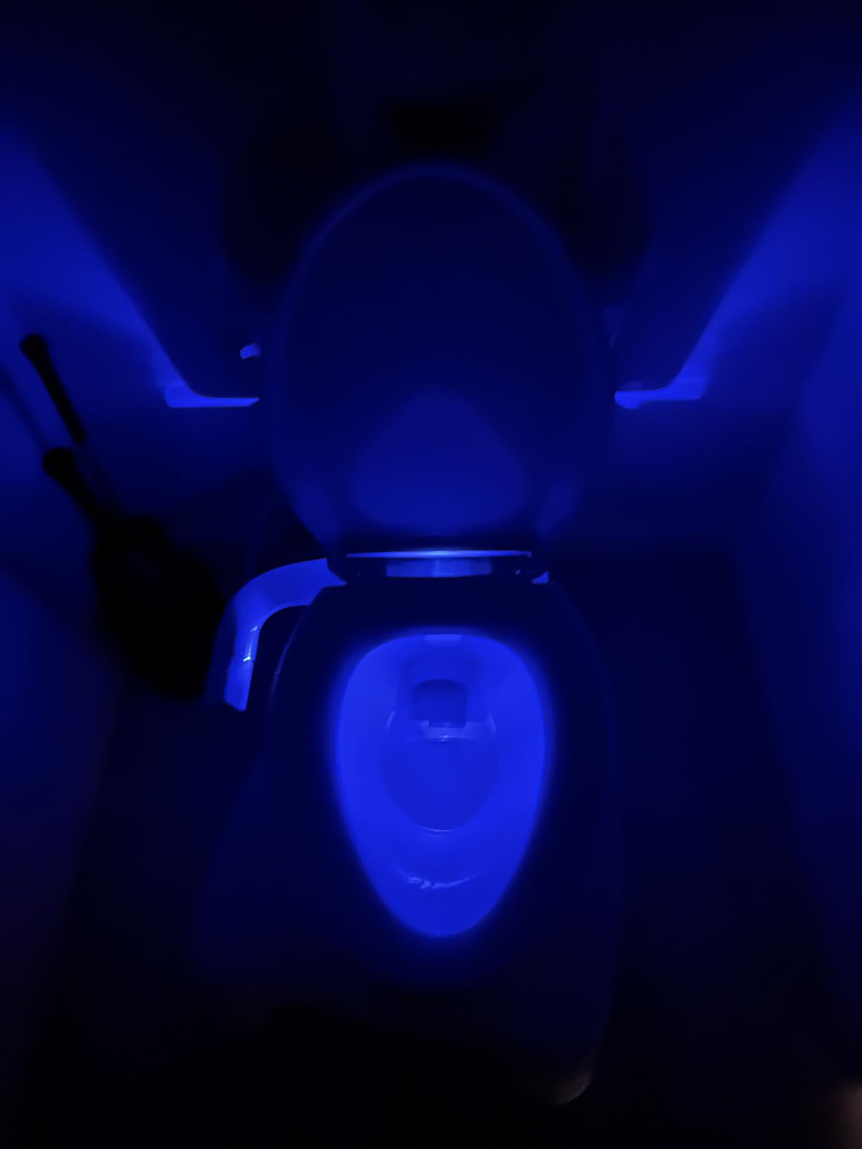 KOHLER CACHET Nightlight Soft Close Toilet Seat Elongated, ReadyLatch, Grip-Tight Hardware, White customer photo 2