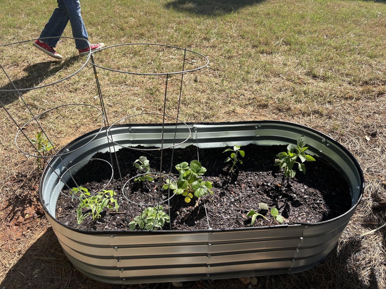 Plant & Plot Galvanized Raised Garden Beds Outdoor // 4x2x1 ft Planter Raised Bed for Gardening, Vegetables, Flowers // Large Metal Garden Box (Silver) // Patented Tool-Free Design customer photo 2