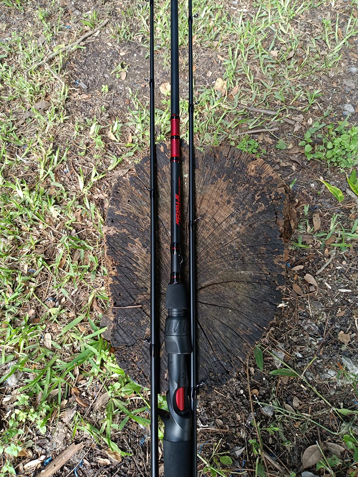 KastKing Royale Advantage Spinning & Casting Fishing Rods | 2-Piece Rods with Extra Tip, IM6 Graphite Blanks, Stainless Steel Guides with Titanium Oxide Ceramic Rings, EVA Handle customer photo 2