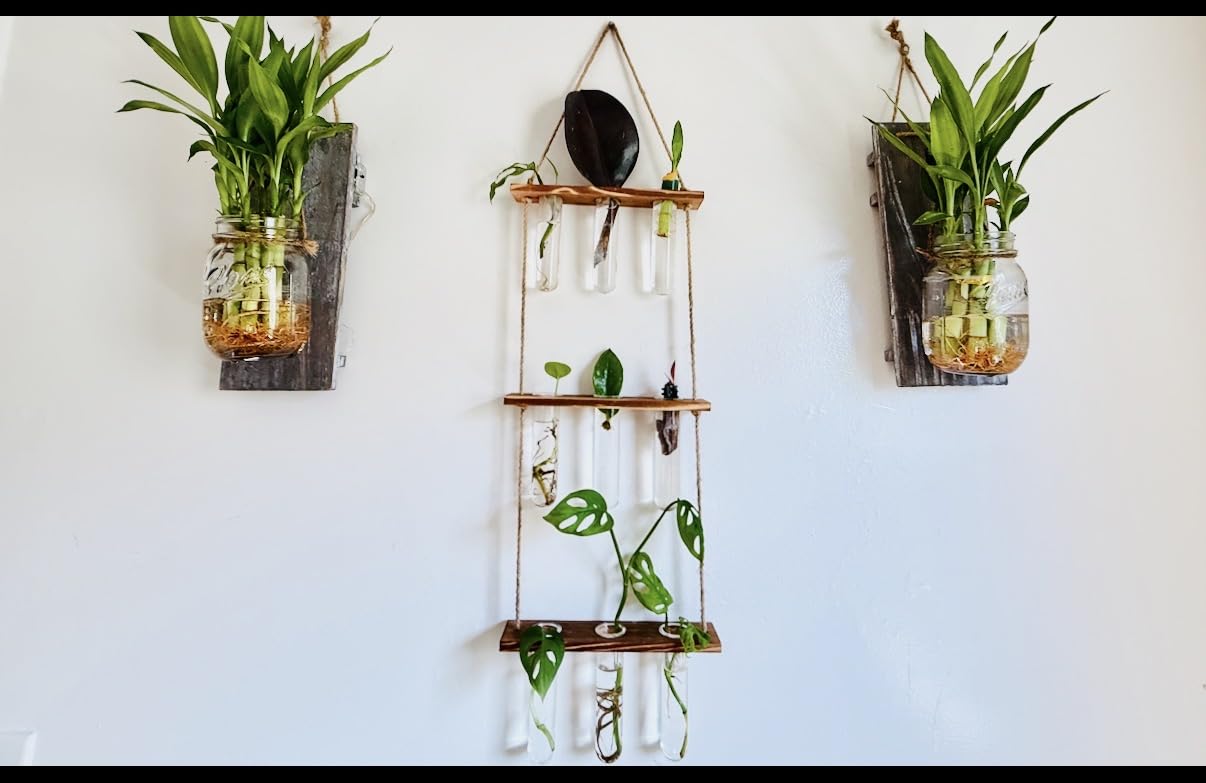XXXFLOWER Wall Hanging Propagation Station with Wooden Stand | 21 Glass Test Tubes 3 Tiers Planters Wall Terrarium customer photo 1