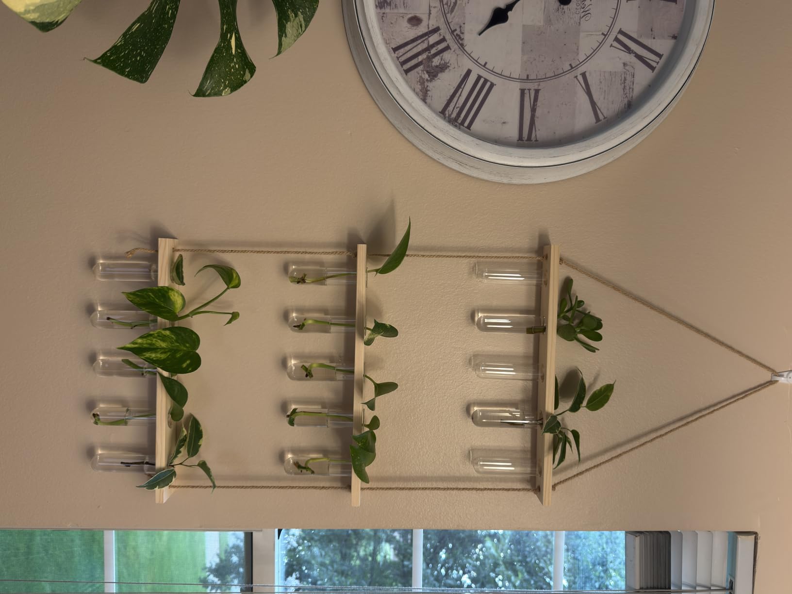 XXXFLOWER Wall Hanging Propagation Station with Wooden Stand | 21 Glass Test Tubes 3 Tiers Planters Wall Terrarium customer photo 2