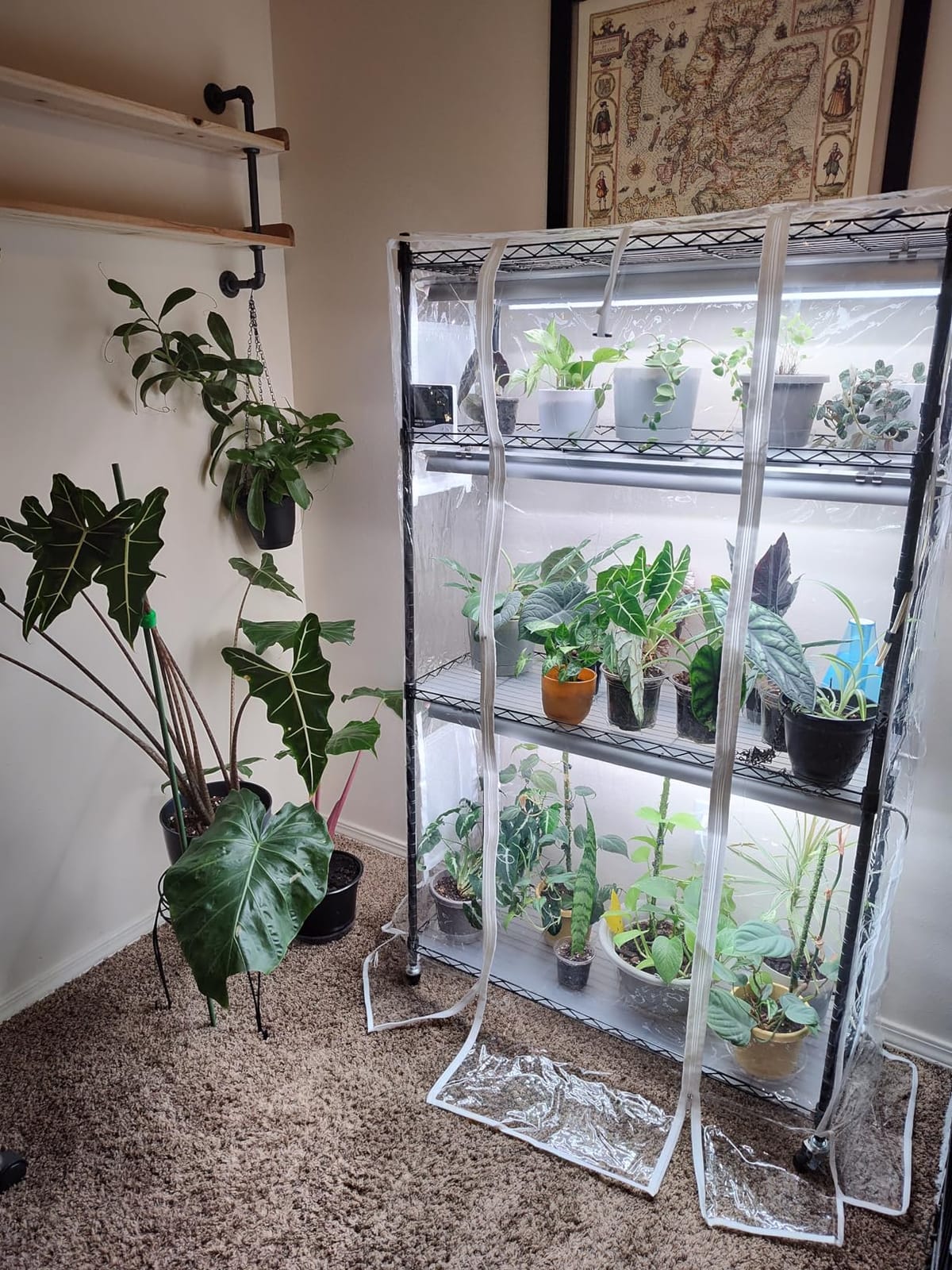 Barrina CX5Z Indoor Greenhouse with Grow Light, 180W, 4-Tier 35.4x13.8x59IN | Full Spectrum T8 Plant Lights, Portable Metal Plant Stand Tent, Timer, Thermometer for Seed Starting customer photo 2