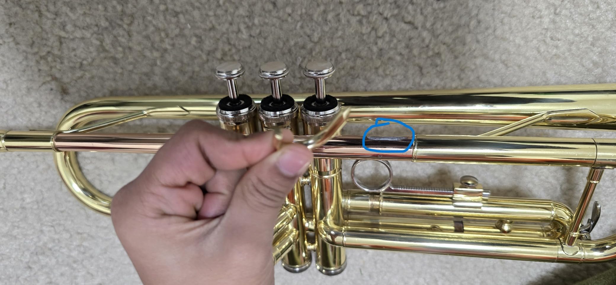 Glory Bb Trumpet - Trumpets for Beginner or Advanced Student with Case, pair of gloves-Gold customer photo 1