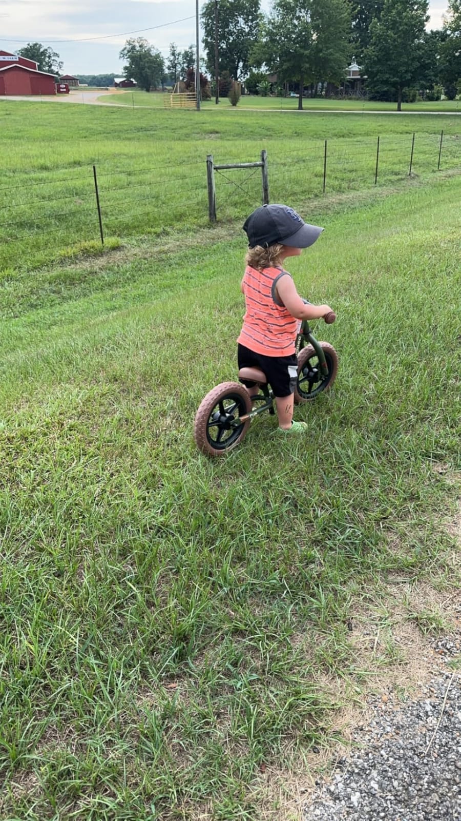 Retrospec Cub Toddler Balance Bike for Ages 18 Months - 3 Years - 12in No-Pedal Beginner Bicycle customer photo 1