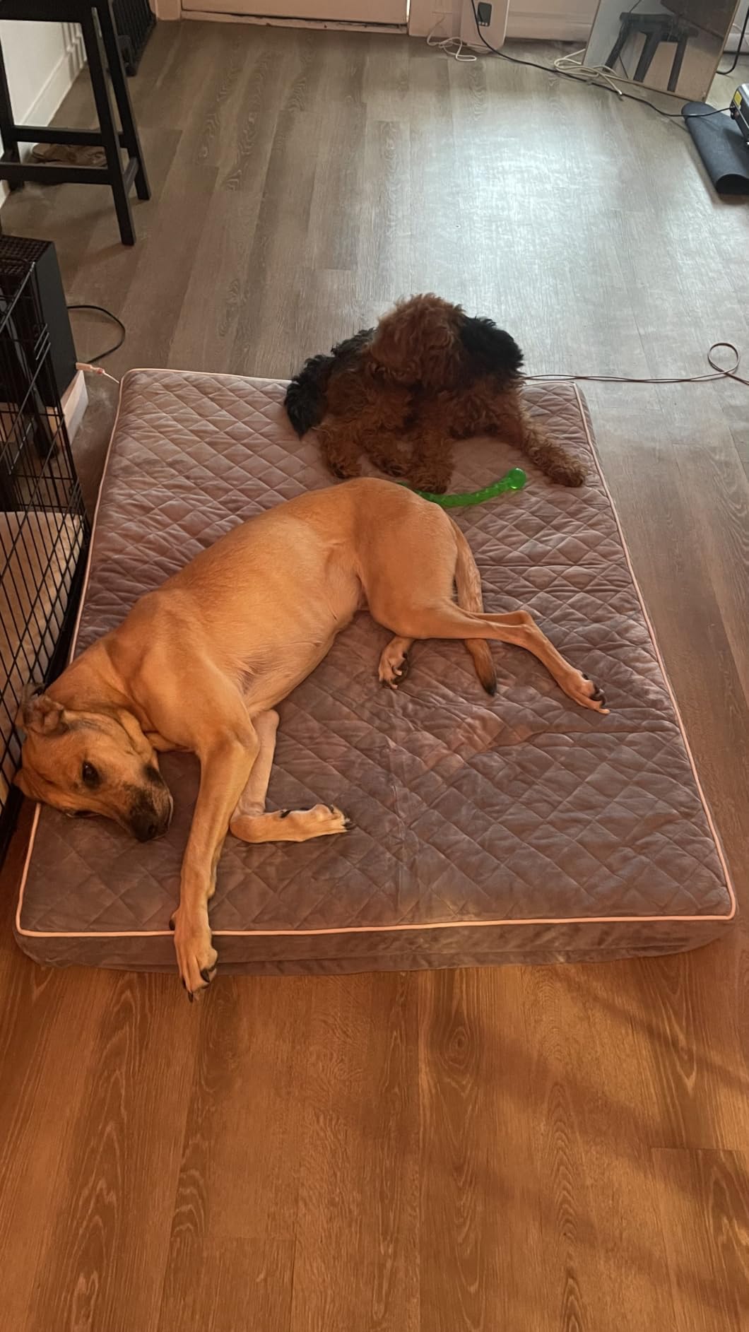 WNPETHOME Orthopedic Waterproof Extra Large Dogs Bed with Removable Washable Cover, Multi-Needle Quilting XL Crate Bed for Large Sized Dog, Light Grey customer photo 2