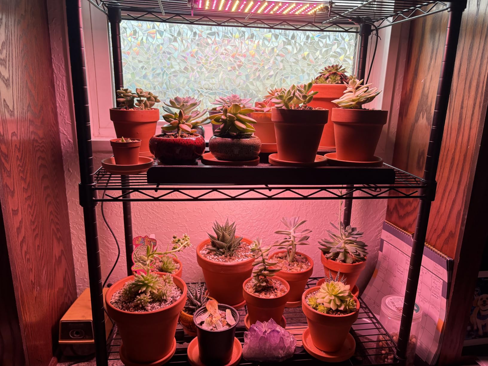 Barrina Grow Lights Panel for Indoor Plants, 40W (4 x 10W), Full Spectrum, Ultra-Thin, with 3/6/12H Auto On/Off Timer, 8 Dimmable Levels, 3 Spectrum Modes, for Greenhouse, Seedlings, 4-Pack customer photo 1