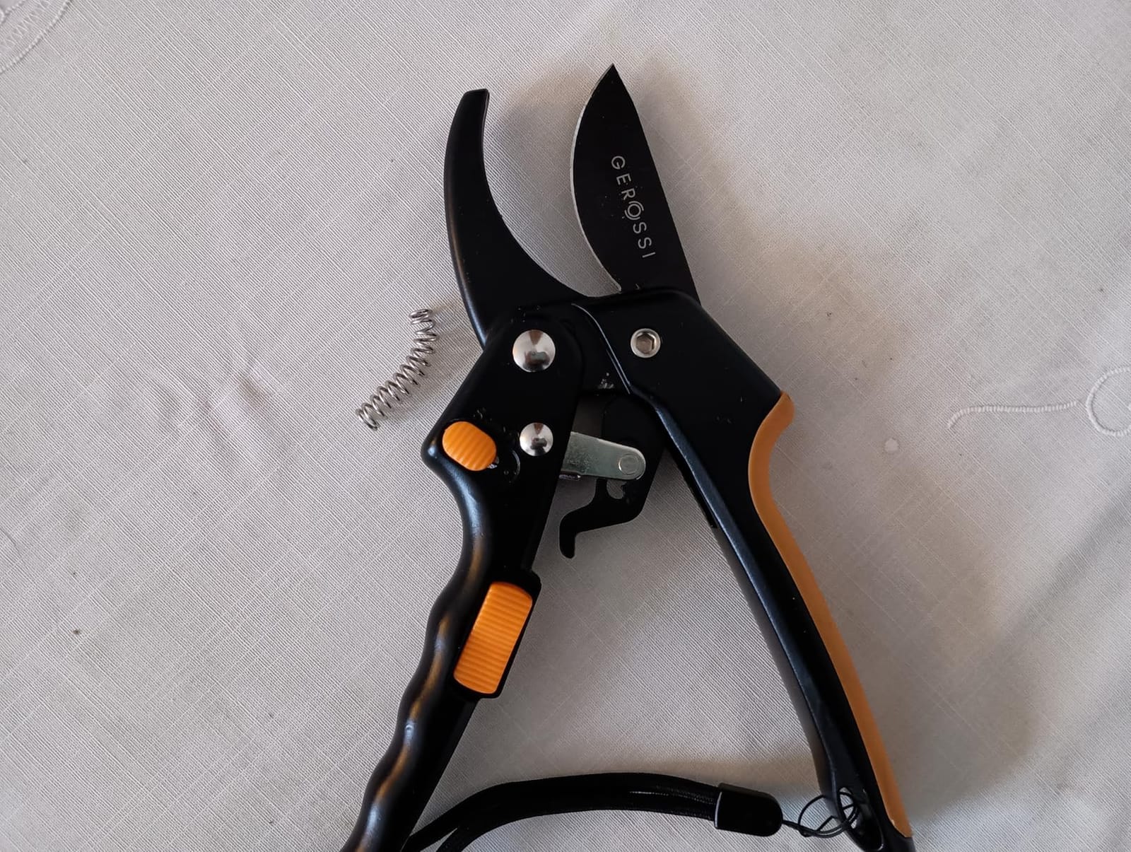 Gerossi Ratchet Pruning Shears Heavy Duty, Hand Pruners for Gardening | Cuts 3x Easier for Arthritis and Weak Grip, 8 in Extra Sharp Anvil Blade, Garden Clippers for Branches and Trees customer photo 1