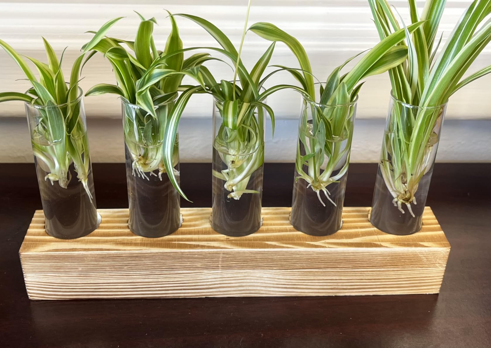Renmxj Plant Propagation Station, Plant Terrarium with Wooden Stand | Plants Pots for Hydroponics, Small Birthday Gardening Gifts for Women Mom Plants Lovers Unique - 5 Glass Test Tubes Vases customer photo 2