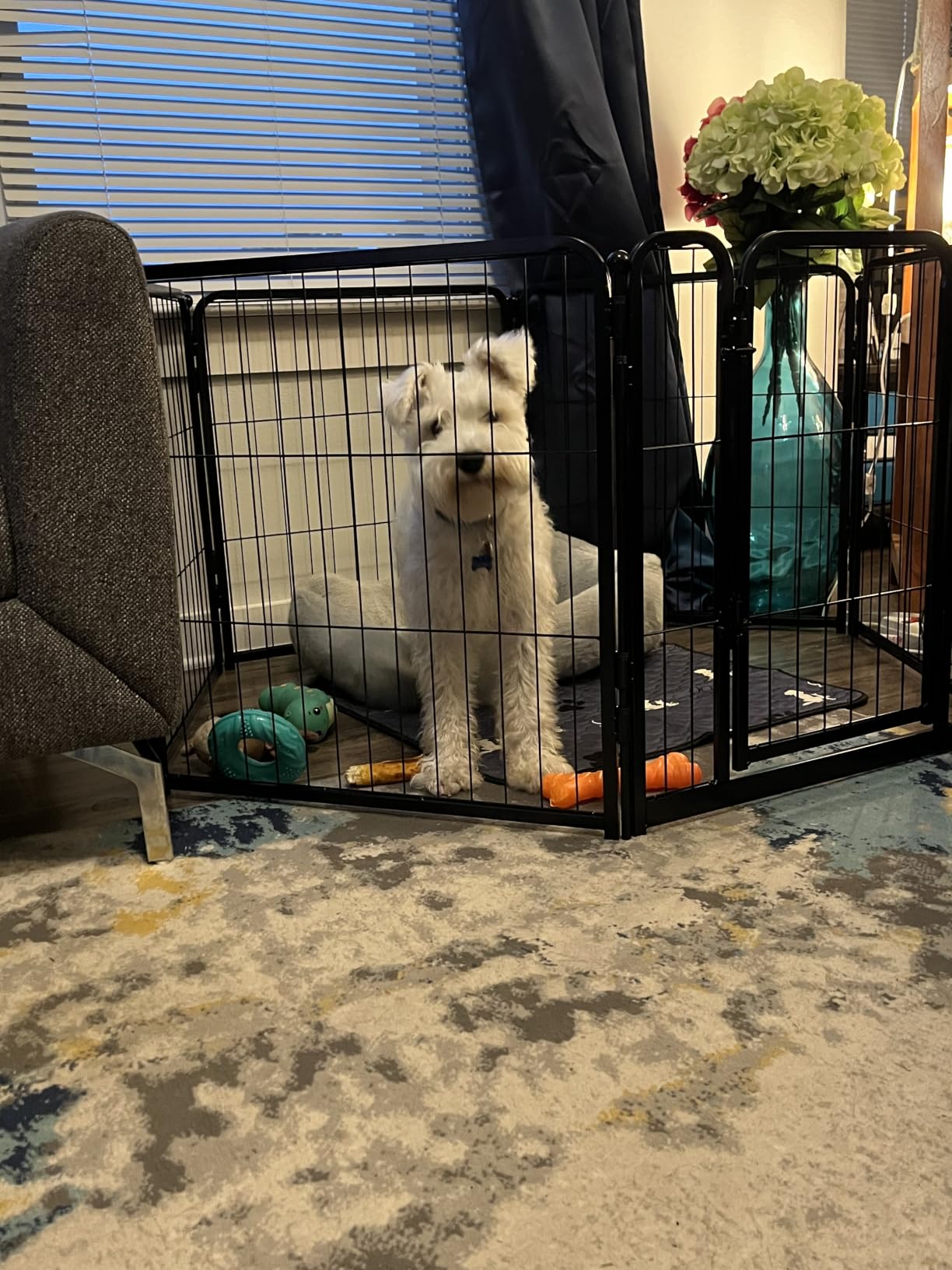 FXW Homeplus Unleashed Indoor Dog Playpen - Stress-Free and Safe Play, Heavy Duty 24 Inch 6 Panels Dog Pen for Puppy and Small Dogs, Black|Patented customer photo 1