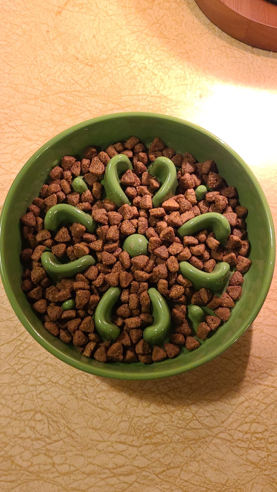 LE TAUCI Ceramic Slow Feeder Dog Bowls Small Breed, 0.6 Cups Dog Food Dish for Fast Eaters, Puzzle Bowl for Small Dogs and Cats, Clover Green customer photo 2