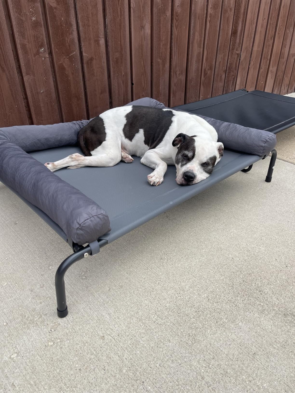 WESTERN HOME Cooling Elevated Dog Bed for Large Dogs, Outdoor Raised Dog Bed | Dogs Cot Portable Indoor, Raised with Breathable Mesh, Chew Proof Pet Hammock Cots, Removable and Waterproof Bolsters customer photo 2