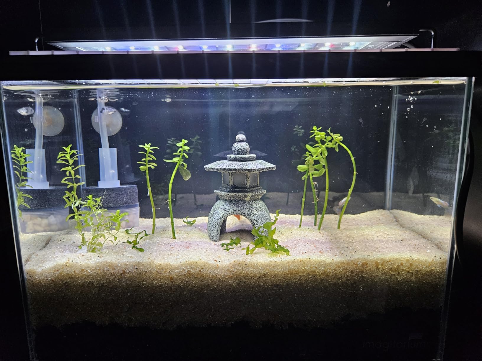 NICREW C10 Plants LED Aquarium Light, 18-24 in, 13 Watts, Full Spectrum Fish Tank Light with Timer, Day and Night Cycle, Brightness Adjustable customer photo 1
