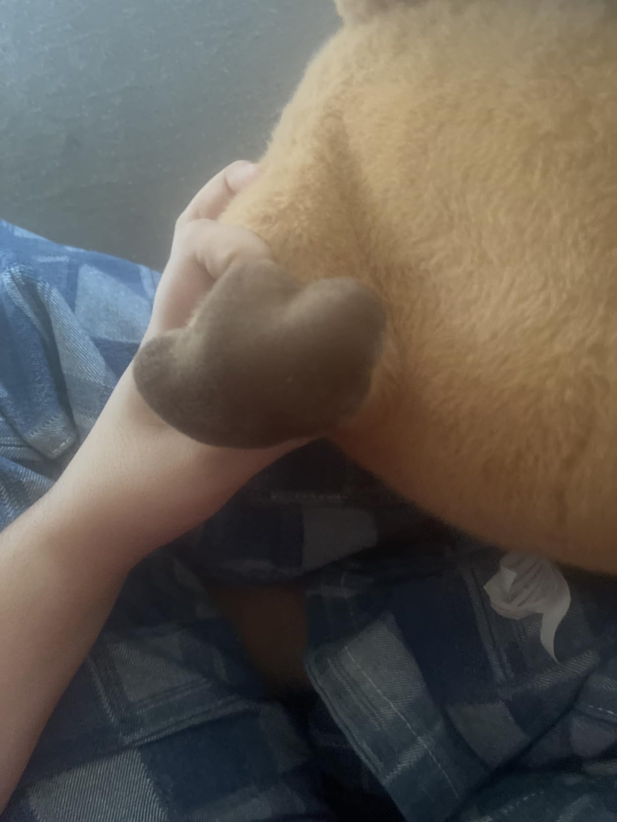 Lilly's Love Weighted Stuffed Animals for Adults & Kids - 5lb Calming Sloth Plush for Anxiety, ADHD & Sensory | Machine Washable Weighted Stuffed Animal w/Removable Insert | Stevie The Sloth customer photo 1