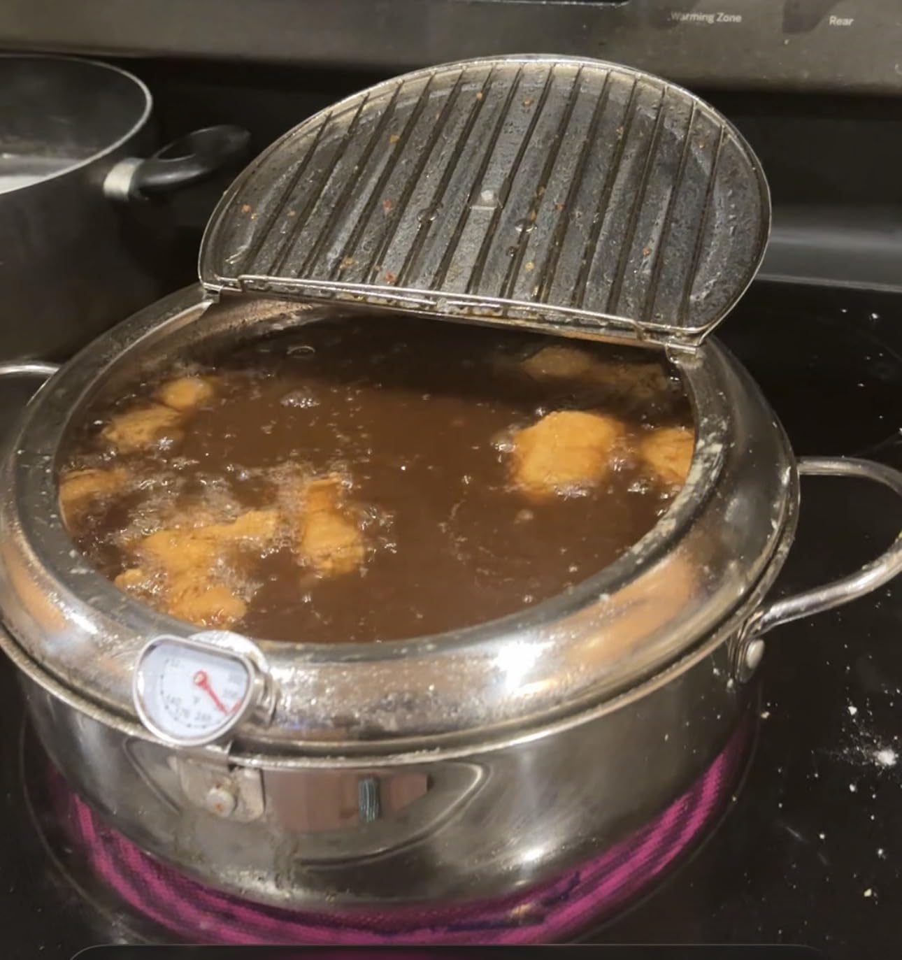 Saltlas Deep Fryer Pot (°F), 11