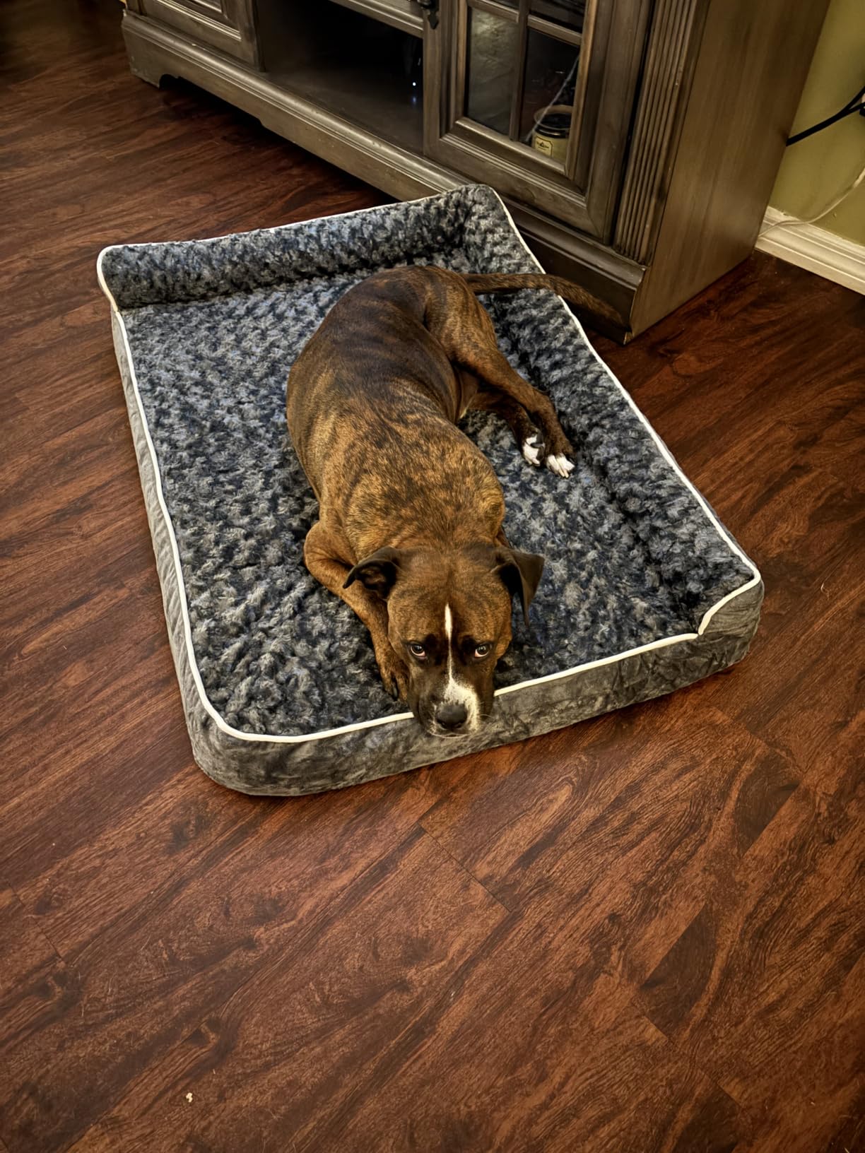 BFPETHOME Orthopedic Washable Dog Bed, Sleeping Couch for Large Senior Dogs | Deluxe Plush Rose Velvet Washable Cover, Egg Crate Foam Support, Waterproof Lining, Non-Slip Bottom, Senior Dogs customer photo 2
