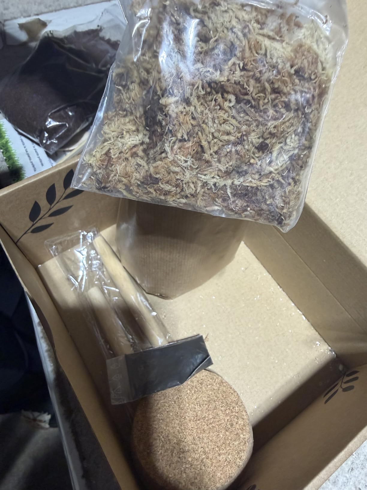 Terrarium Kit for Plants DIY | Starter Pack - Closed Ecosystem - 34 fl oz Glass - Succulents, Air Plants, Bonsai, Indoor Plants - (Plants Not Included) customer photo 1
