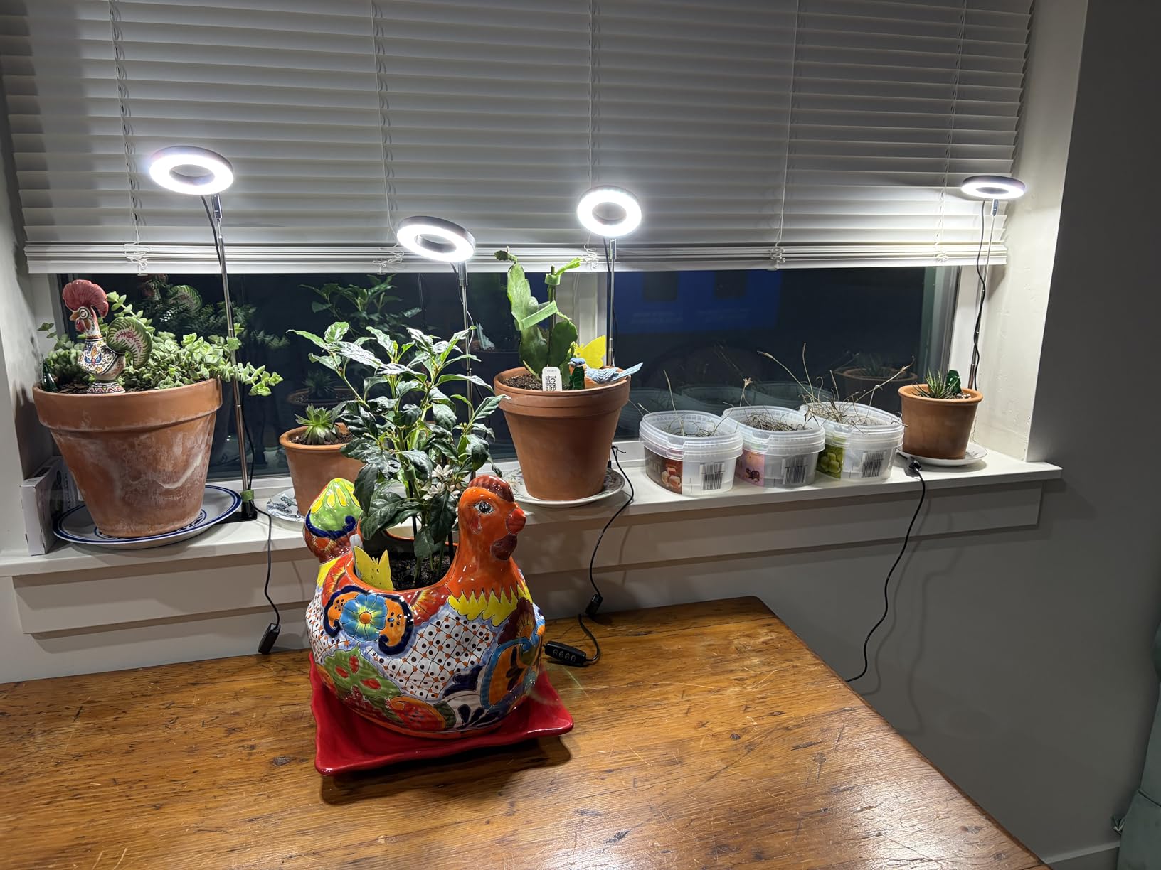 Aokrean Grow Lights for Indoor Plants, Full Spectrum Plant Light with Base | 48 LEDs Halo Grow Lamp for Small Plants, Base/Soil Insert, 6.5-26in Adjustable, 3 Spectra, 3/9/12H Timer, 10 Brightness, 3 Pack customer photo 1