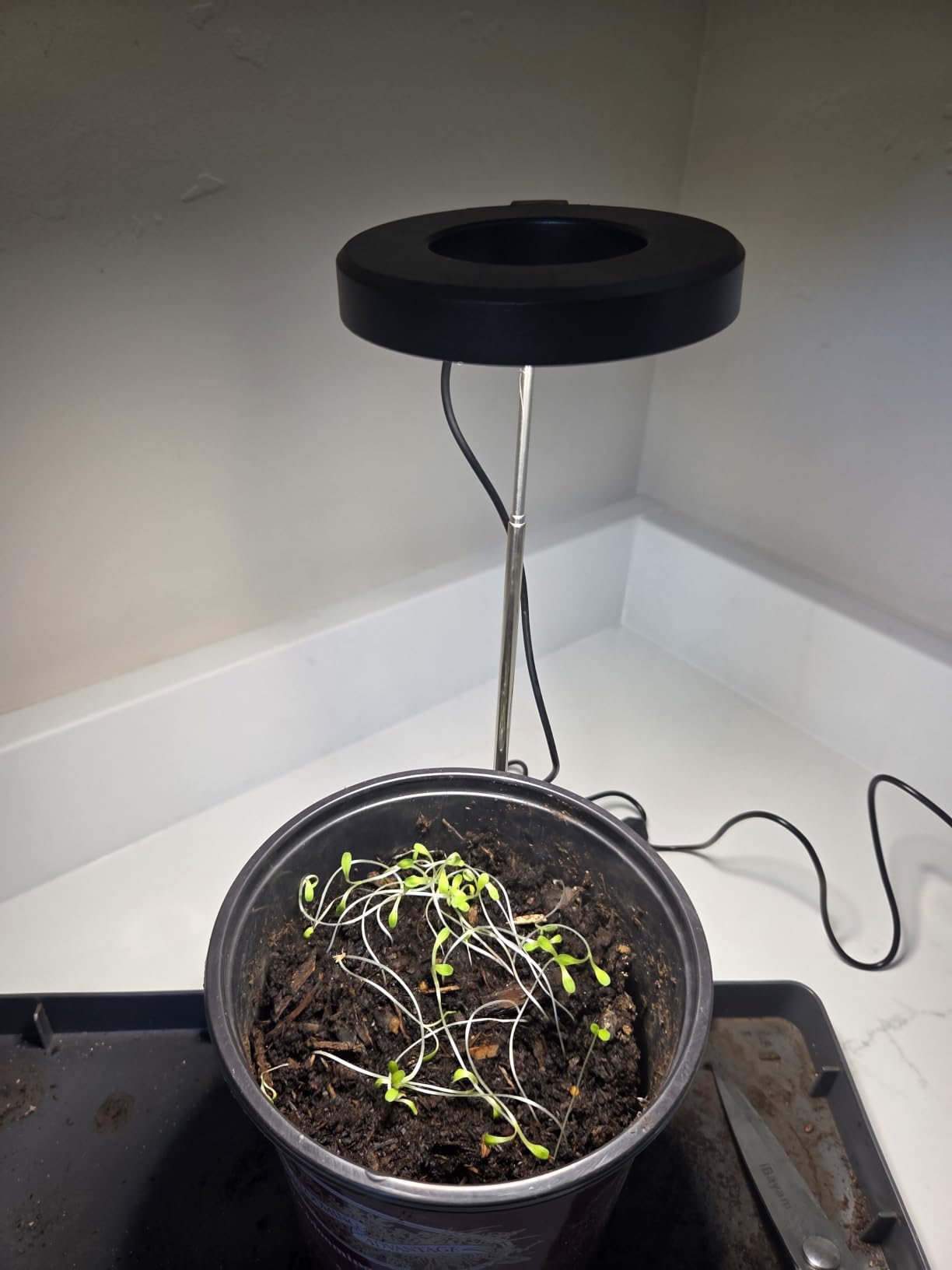 Aokrean Grow Lights for Indoor Plants, Full Spectrum Plant Light with Base | 48 LEDs Halo Grow Lamp for Small Plants, Base/Soil Insert, 6.5-26in Adjustable, 3 Spectra, 3/9/12H Timer, 10 Brightness, 3 Pack customer photo 2