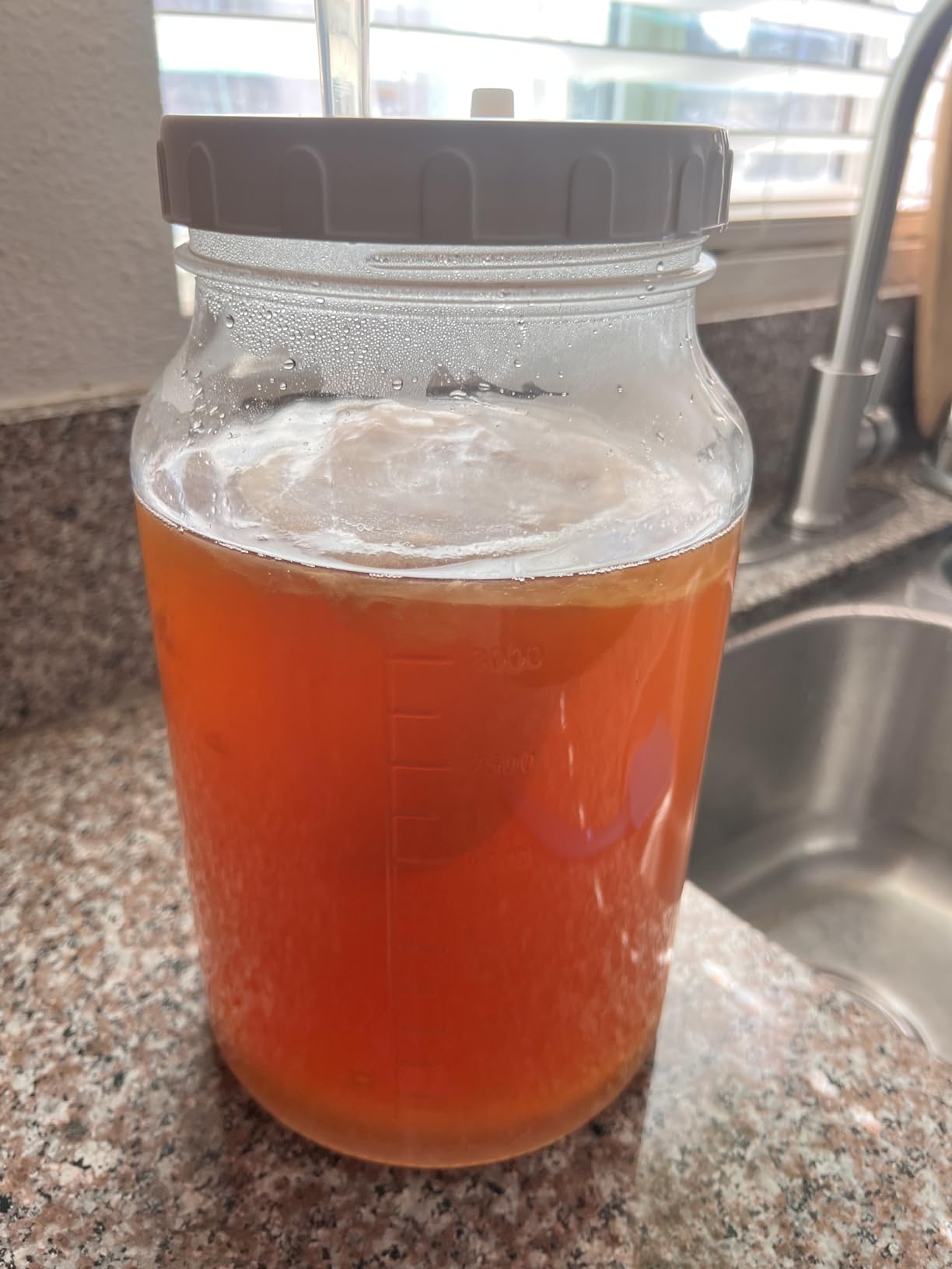2 Pack 1 Gallon Large Fermentation Jars with 3 Airlocks and 2 SCREW Lids(100% Airtight Heavy Duty Lid w Silicone) - Wide Mouth Glass Jars w Scale Mark - Pickle Jars for Sauerkraut, Sourdough Starter customer photo 2