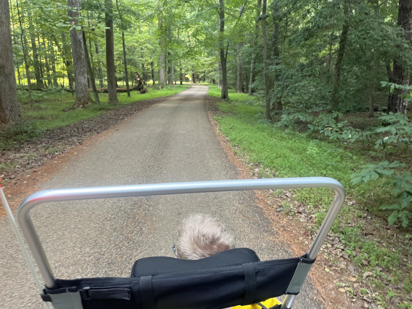 PediCruiser Adult Bike Trailer + Stroller/Wheeler 2 in 1, Seatbelt, Full Weather Guard/Sunshade, Foldable customer photo 1