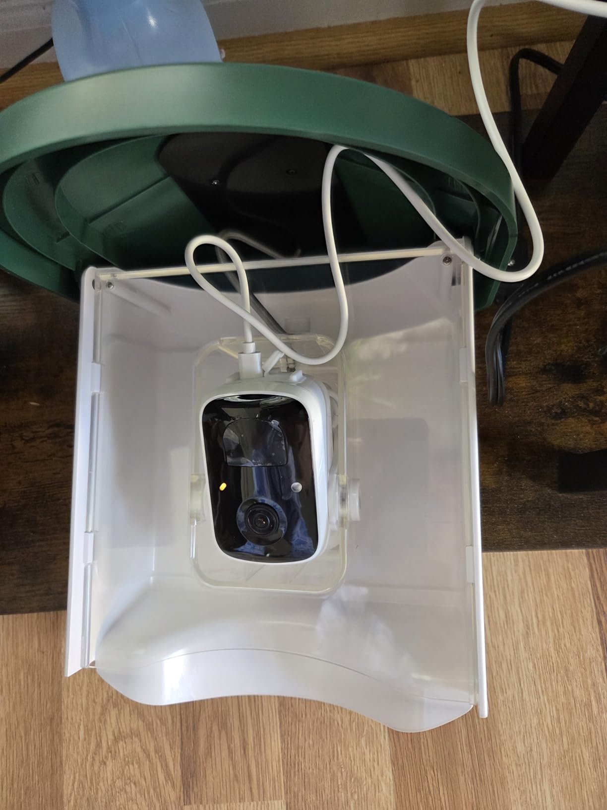 Smart Bird Feeder with Camera - AI Identify Birds Species, Solar Powered Bird House with Cam, 2L Large Capacity, 2K HD Video Live Stream, Instant Arrival Alerts - Green customer photo 1