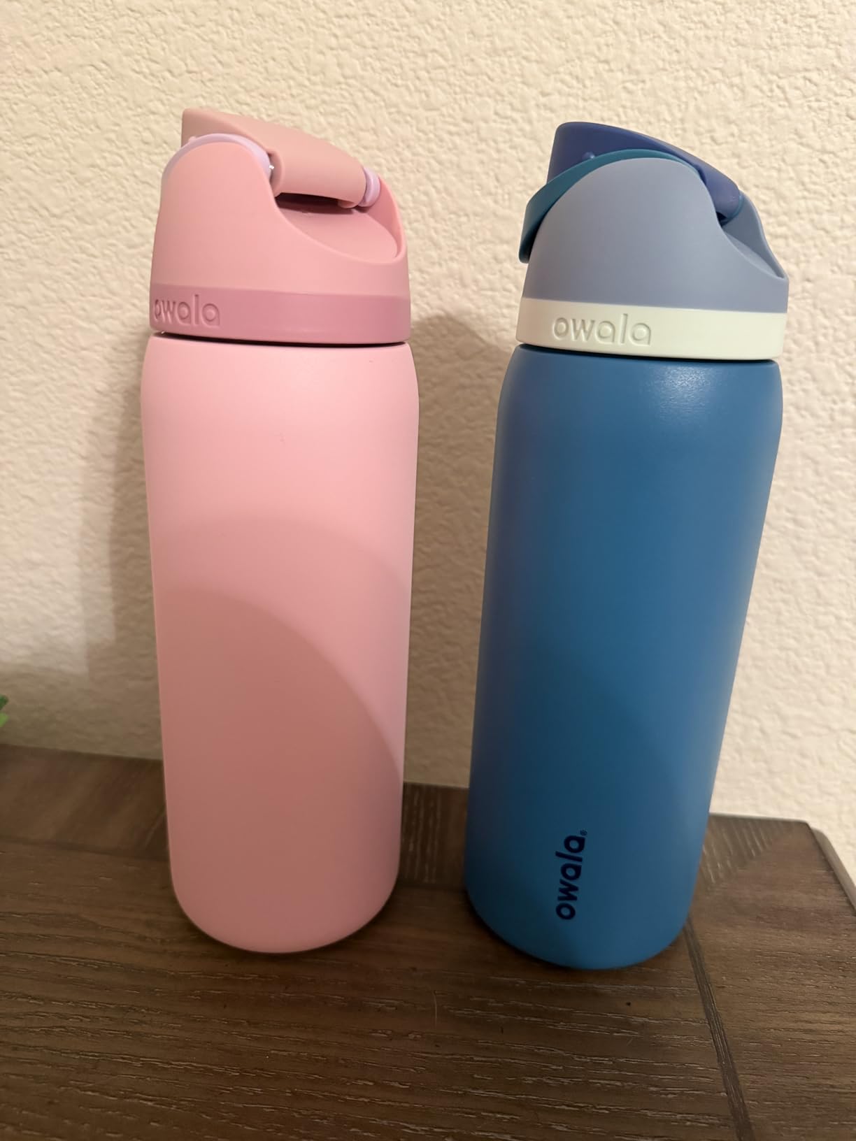 Owala FreeSip Stainless Steel Water Bottle 32 oz Iced Breeze customer photo 1
