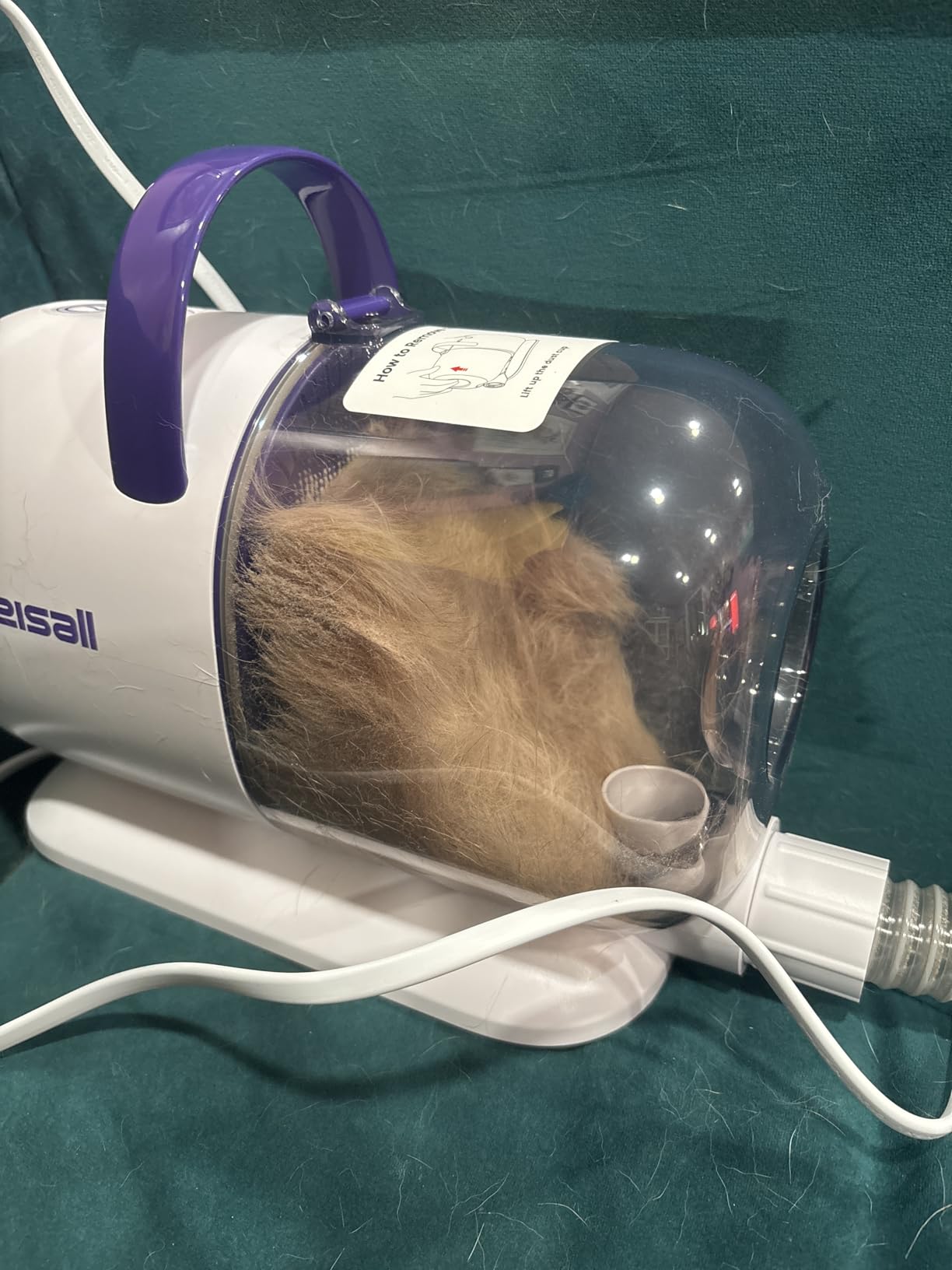 oneisall Dog Hair Vacuum Shedding Grooming Brush Kits for Pet Thick Coats | 15000Pa, 3 Suction Low Noise, 1.5L Dust Cup, 5 in 1 Kits customer photo 2