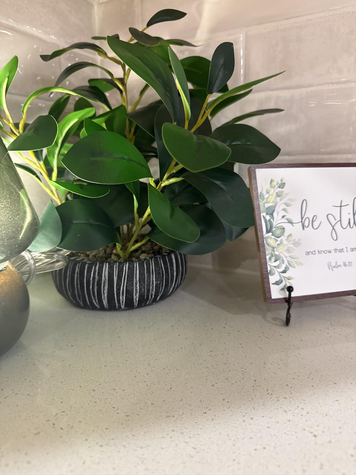 AlphaAcc Fake Plants Artificial Indoor Succulents Home Office Decor | Artificial plants with rustic black clay planter ideal bathroom kitchen office farmhouse desk living room indoor decor customer photo 2