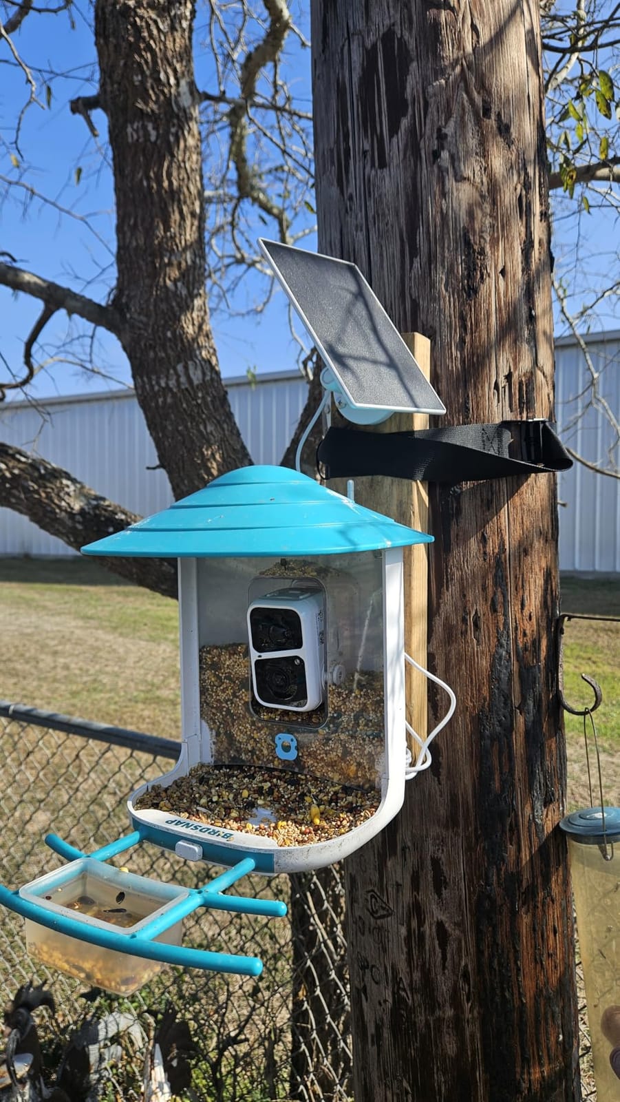 birdsnap TUC Bird Feeder with Camera Solar Powered 2K Video with 32GB Card | AI Bird Species Identification, Squirrel-Proof, IP65 Waterproof, Outdoor Wireless, 2.4G WiFi, Gift for Mom Dad Bird Lovers customer photo 2