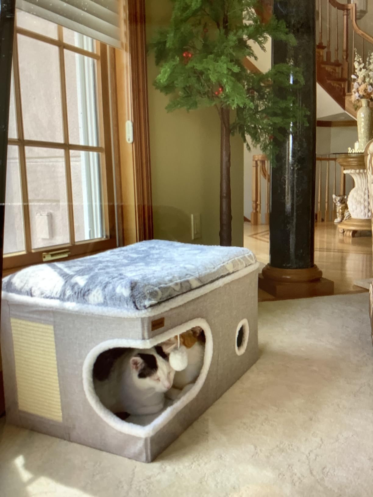 Garnpet Cat Bed for Indoor Cats Cube House, Covered Cat Cave Beds & Furniture with Scratch Pad and Hideaway Tent, Cute Modern Cat Condo for Multi Small Pet Large Kitten Kitty, Grey customer photo 1