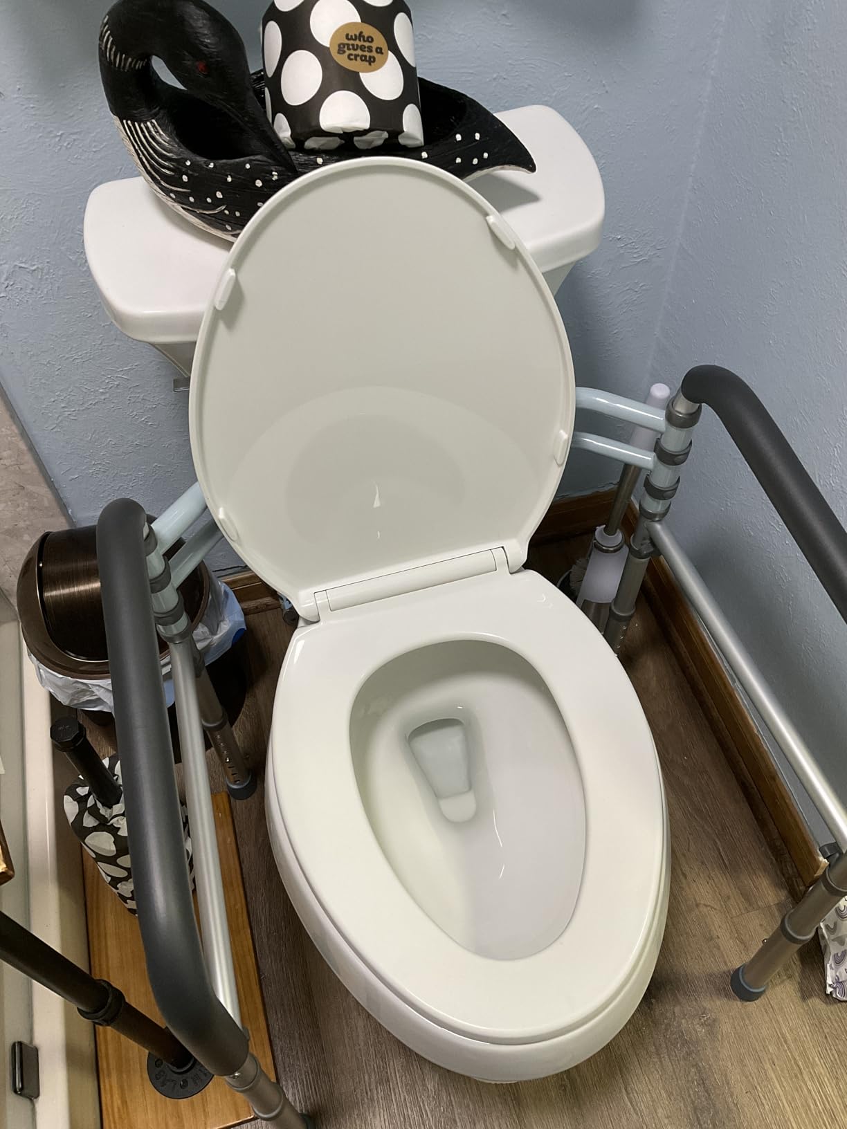 Lianjindun Toilet Safety Rails, 350 lbs, Adjustable Height & Width | Fits Most Toilets, Foldable Design, Aluminum Toilet Frame, Toilet Handles for Seniors, Disabled, Handicap customer photo 1
