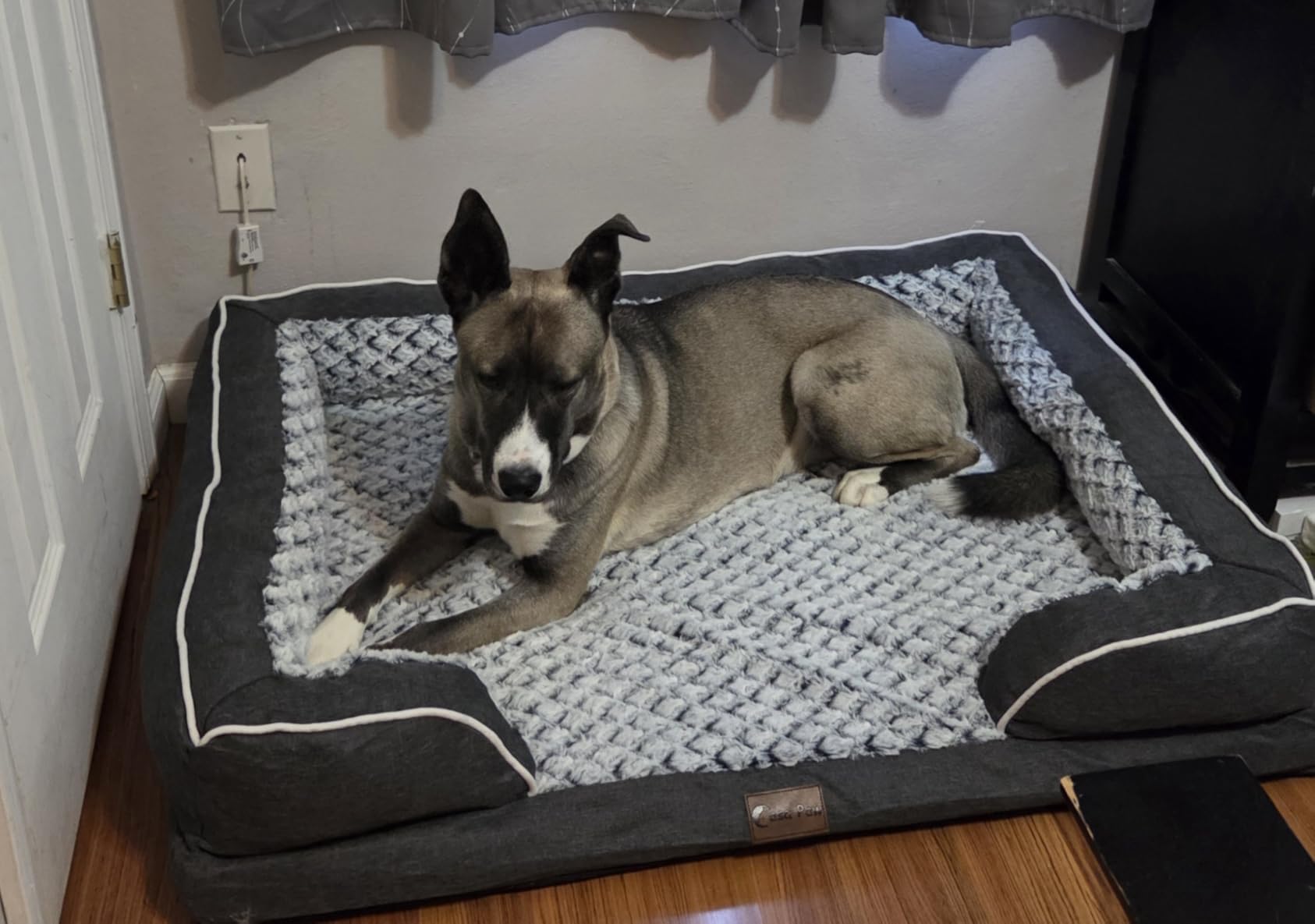 Orthopedic Dog Bed for Extra Large Dogs, 42x30in, Light Grey | Orthopedic Foam Relieves Joint Pressure, Bolsters Supports Head And Neck, Washable Cover, Non-Slip Bottom customer photo 1