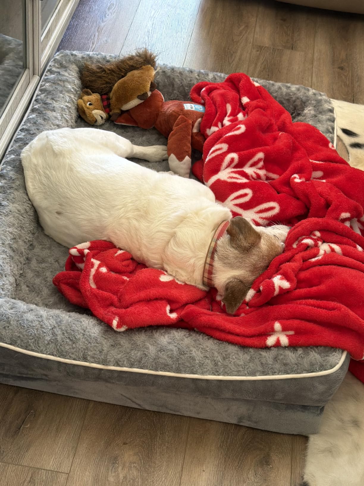 WNPETHOME Orthopedic Washable Dog Bed Large for Senior Dog Cozy Sleep | Waterproof Big Soft Dog Couch Sofa Bed for Dogs Relax with Removable Cover Supportive Comfort Pet Bed Dark Grey 36x27 Inch customer photo 2