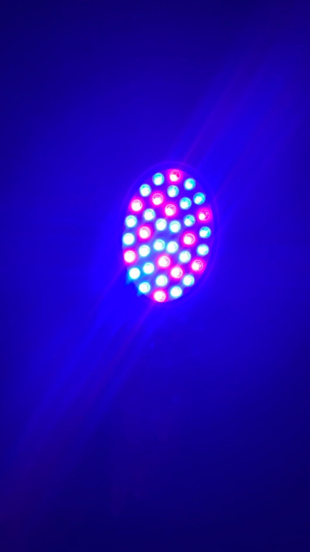 Lyte Wireless Duo LED Light Therapy Red & Blue Light Therapy Wand for Face Includes Hyaluronic Serum w/Automatic Sensor Wrinkle Reduction Facial Handheld Tool customer photo 1
