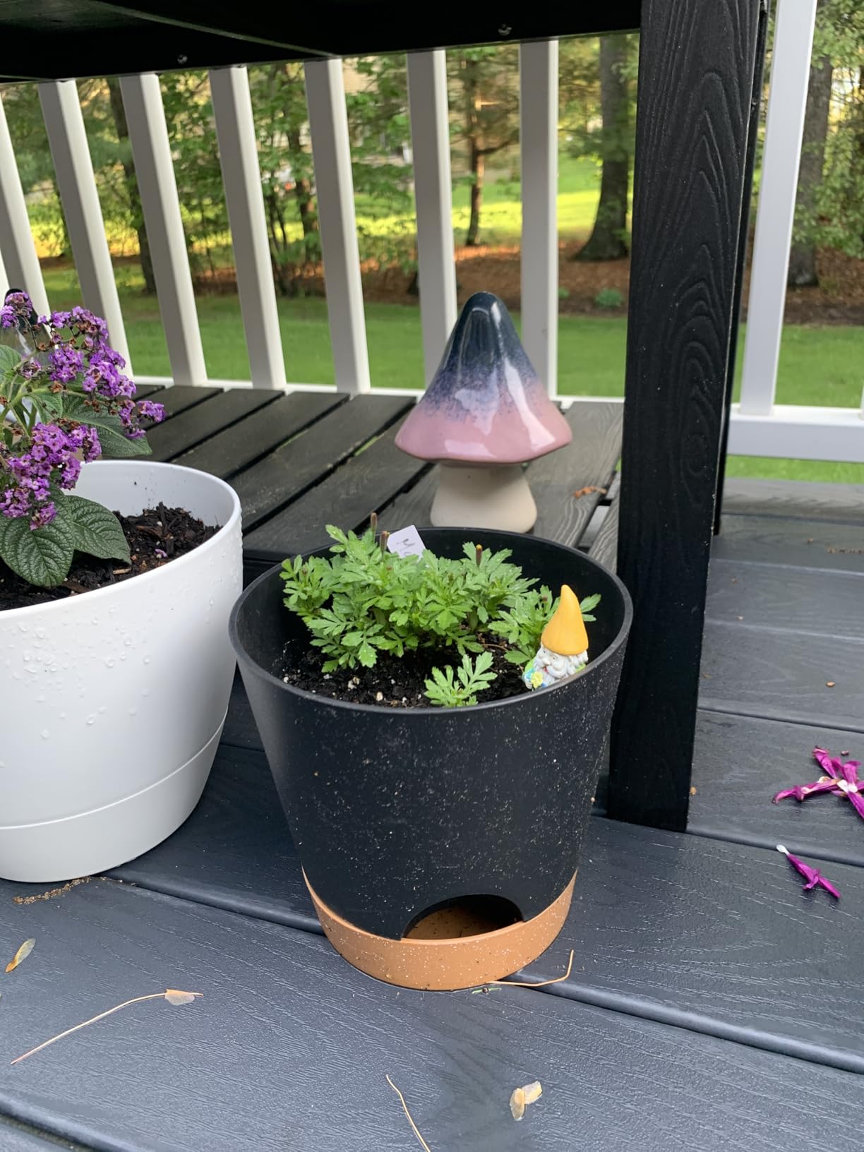 12 inch Plant Pots, Self Watering Pots, Large Plastic Flower Pots with Deep Reservoir and High Drainage Holes for Indoor Outdoor Plants and Flowers, Black customer photo 1