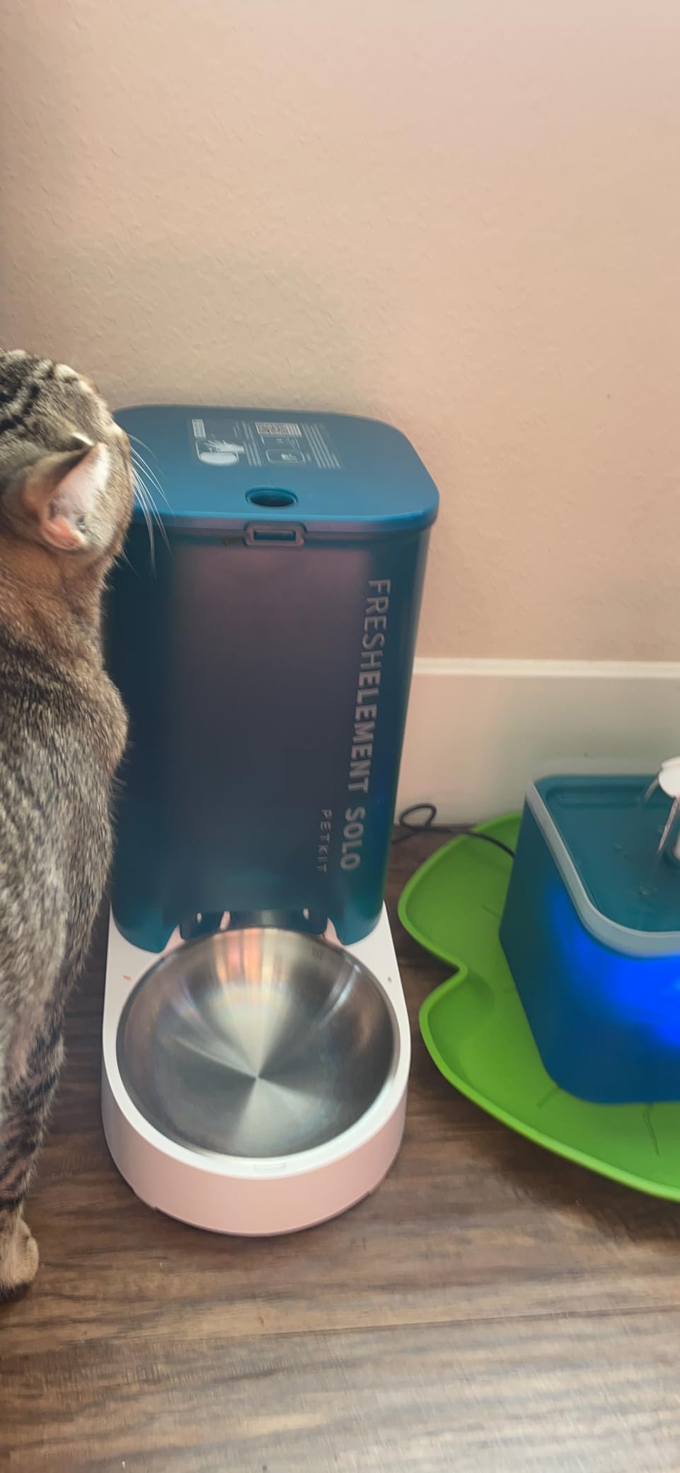 PETKIT Automatic Cat Feeder, 2.4G WiFi Automatic Dog Feeder, App Control Pet Food Dispenser with Triple Fresh-Lock System, Schedule Feeding, Food Shortage Alert, Dual Power-Charge&Battery, 3L Capacity customer photo 1