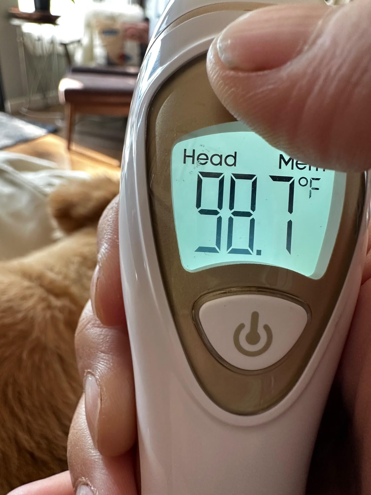 iProven Ear Thermometer with Non-Touch Forehead Function, Superior Accuracy | For Adults, Kids & Babies, Pro Series Premium Digital Thermometer customer photo 2
