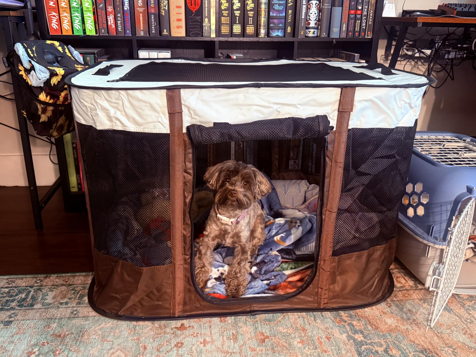 Paw Ballt Foldable Pet Kitten Playpen, Upgrade Waterproof Portable Cat Dog Playpen Kennel Tent for Small Cat Dog, Retractable Shade Cover customer photo 2