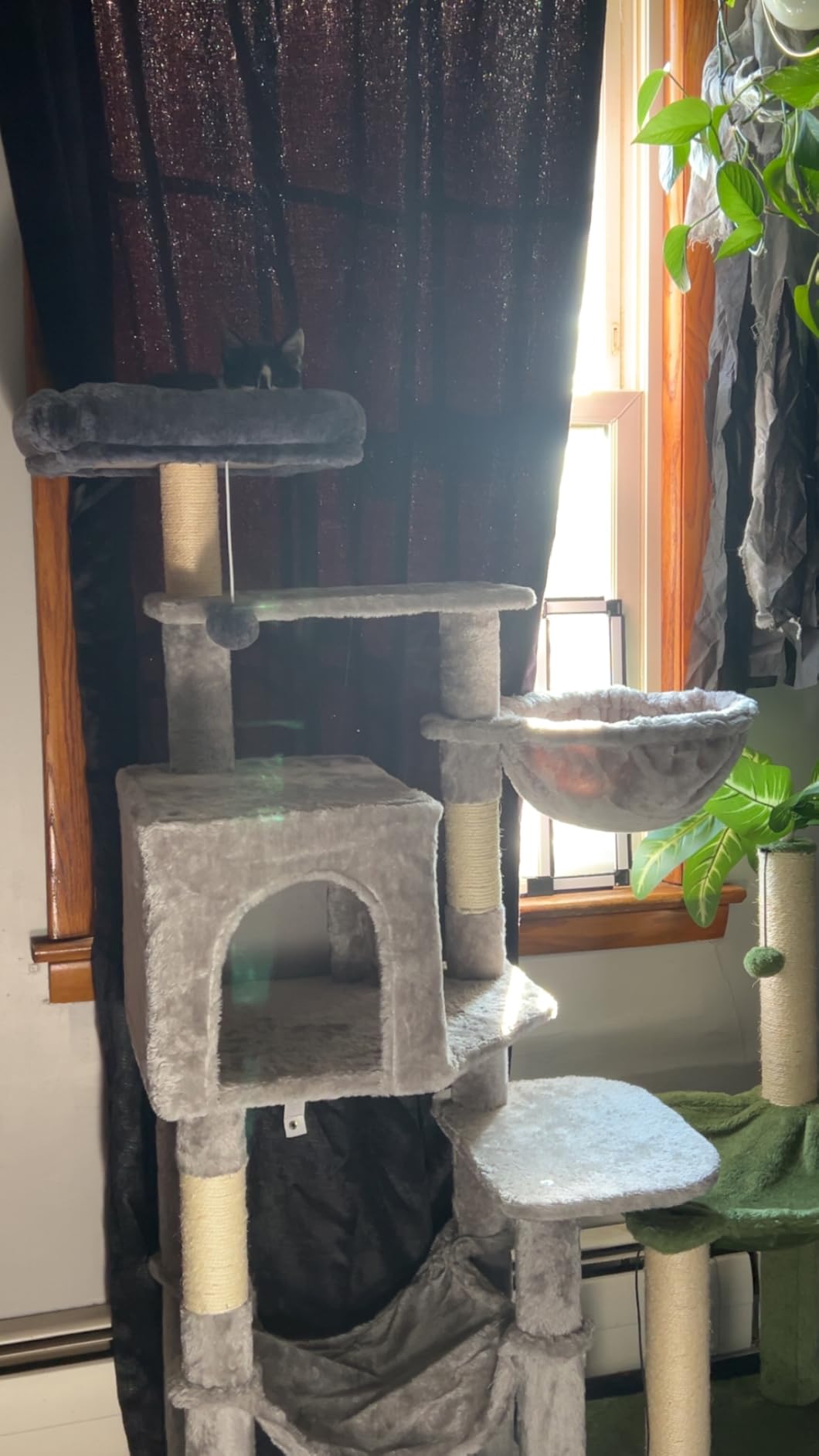 Hey-brother Cat Tree, Multi-Level Sisal Covered Scratching Posts, MPJ050W | 60.6 Inches Tower with Condo, Large Hammock, Top Perch, Toy Ball for Indoor Multi-Cats Households, Light Gray customer photo 1