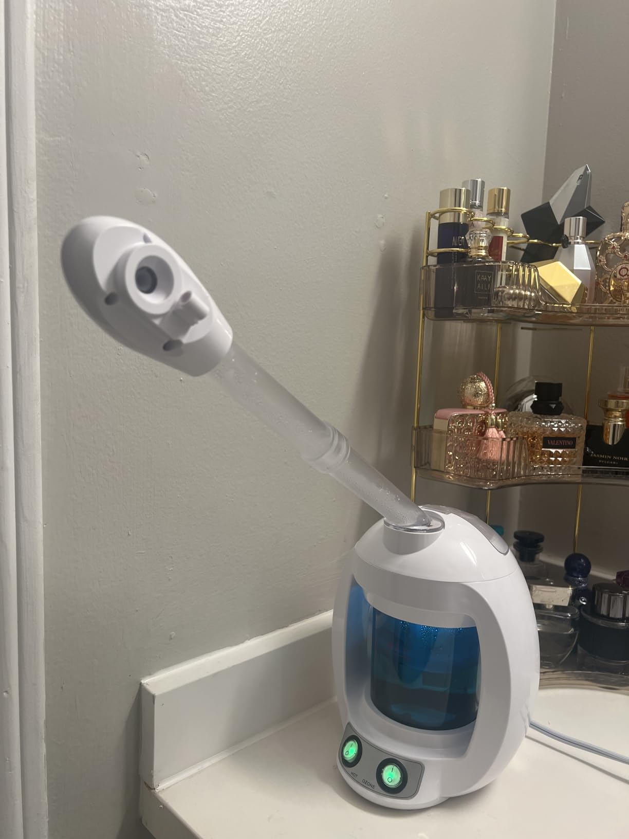 Dress Vous Facial Steamer, Face Steamer for Esthetician and Nano Ionic Portable Ozone Hair Steamer, Professional Facial Steamer for Home Facial Spa (White) customer photo 1