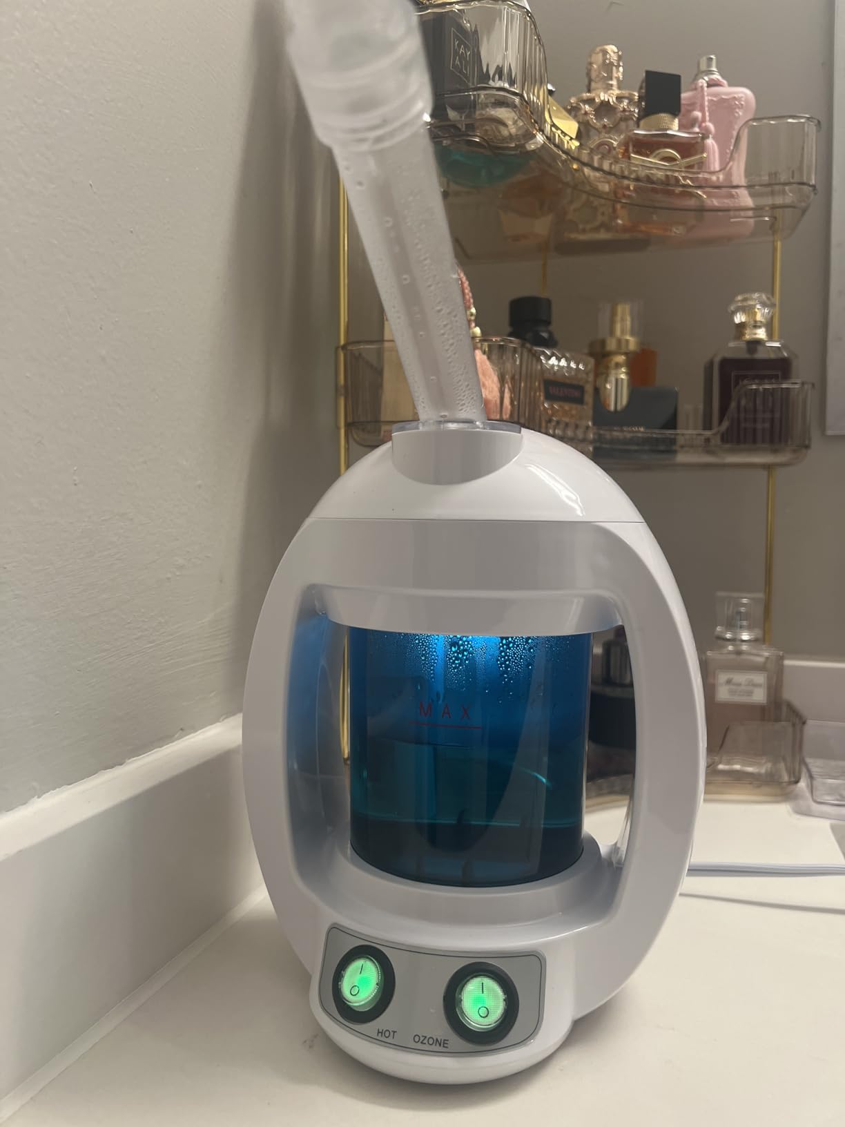 Dress Vous Facial Steamer, Face Steamer for Esthetician and Nano Ionic Portable Ozone Hair Steamer, Professional Facial Steamer for Home Facial Spa (White) customer photo 2