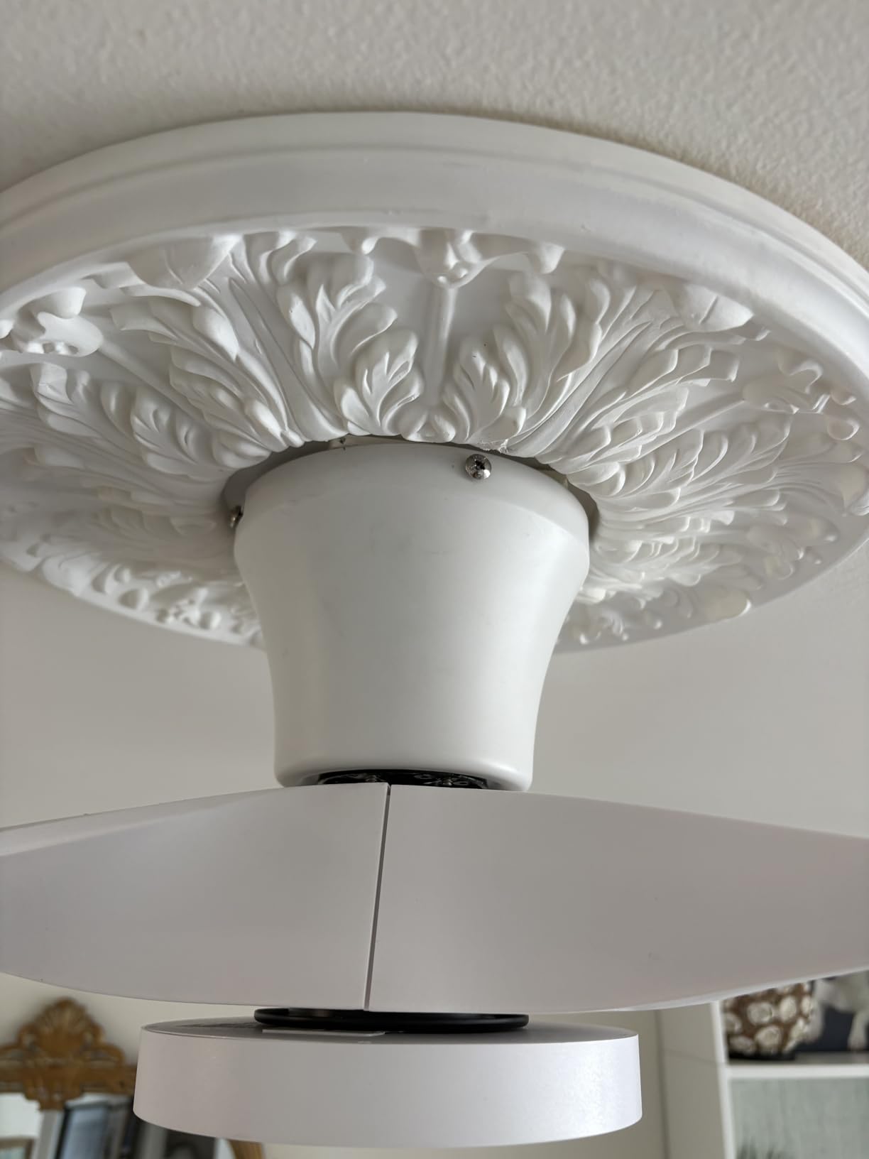 TALOYA 52 inch Ceiling Fans with Lights Remote Control, Modern Low Profile Ceiling Fan with Quiet Reversible DC Motor for Bedroom Living Room and Patio White customer photo 2