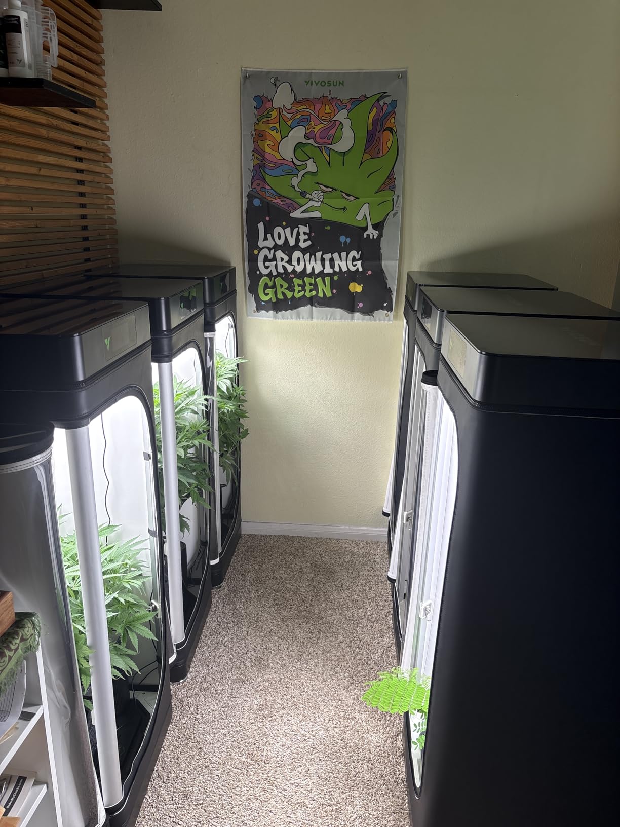 VGrow All-in-One Smart Grow Box, Professional System with Samsung LM301H EVO Grow Light, Advanced Circulation & Ventilation System, Irrigation, Nutrient, Magnetic Window for Indoor Hydroponics customer photo 2