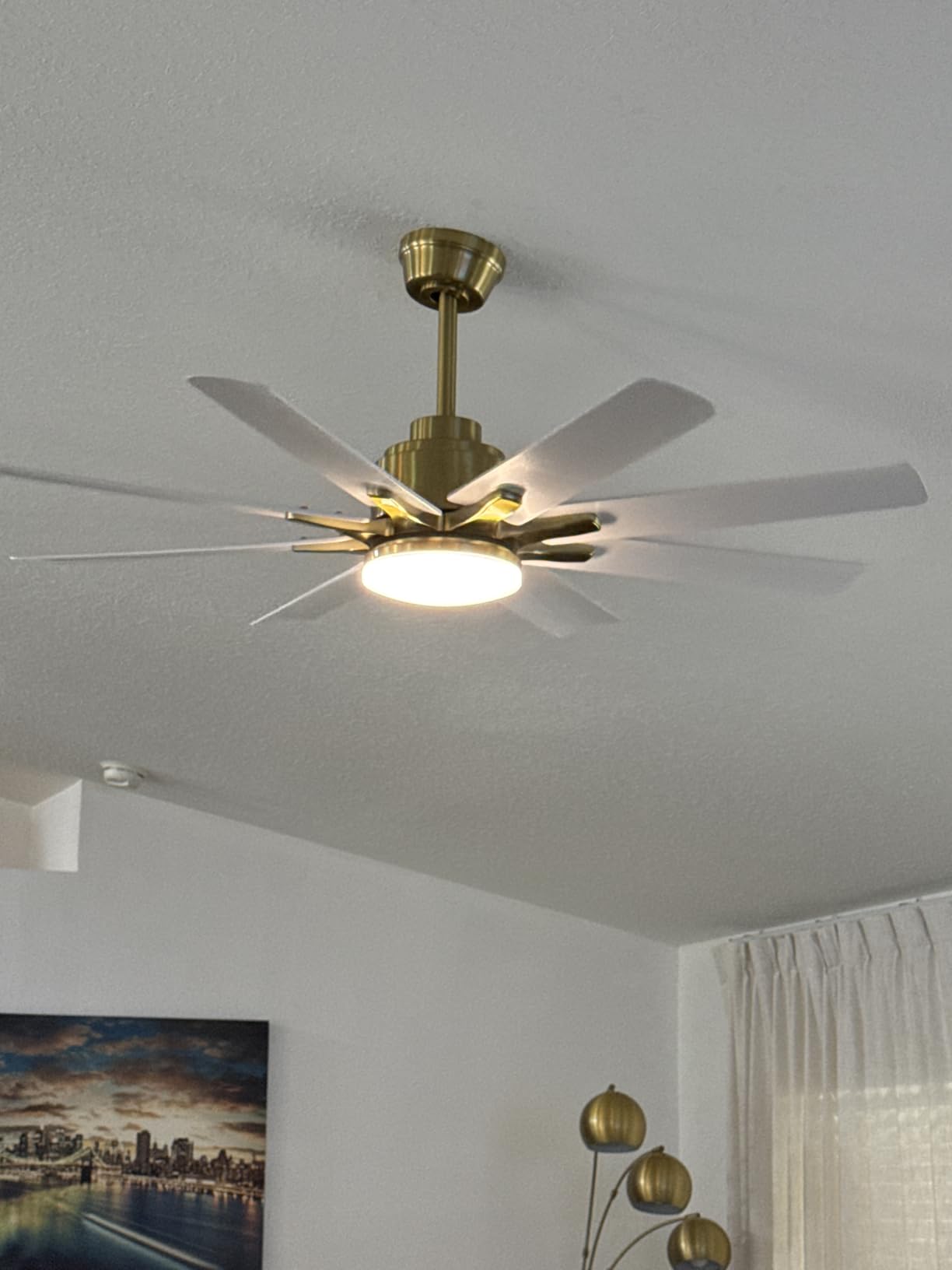 Sofucor 66 Inch Smart Ceiling Fans with Lights, Black Large Ceiling Fan | High 7000 CFM, Alexa/APP/Remote Control, Quiet Reversible DC Motor, 3 CCT, 6 Speeds for Indoor/Outdoor/Patio/Living Room customer photo 1