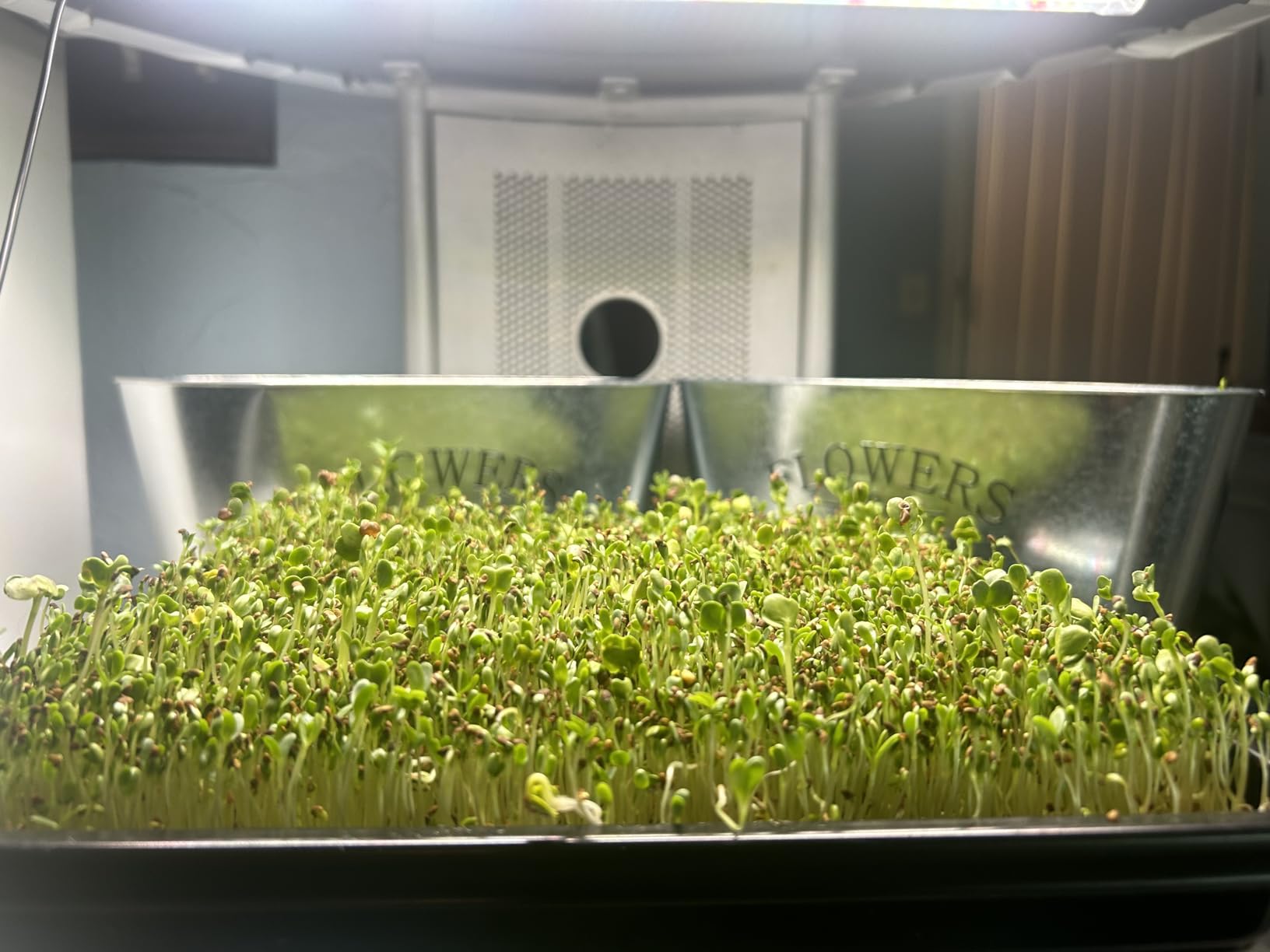 9Set Microgreens Growing Mat with Tray, Microgreen Growing Kit 10